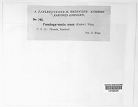 Image Associated With the Occurence